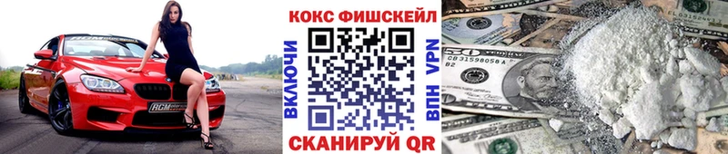 COCAIN Fish Scale  ссылка на мегу ССЫЛКА  Кингисепп  купить  