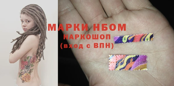 гашик Осташков