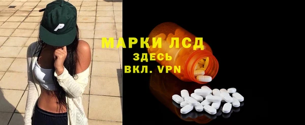 гашик Осташков