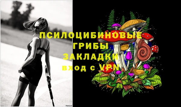 крисы Пересвет