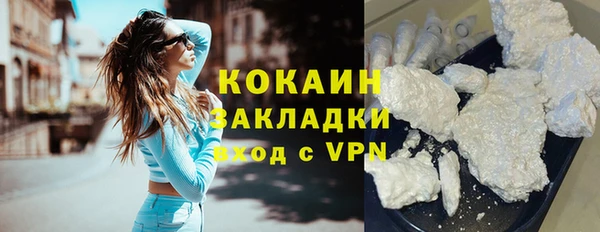 гашик Осташков