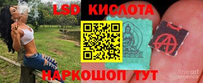 первитин Гатчина