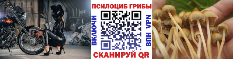 Галлюциногенные грибы мухоморы  Кингисепп 