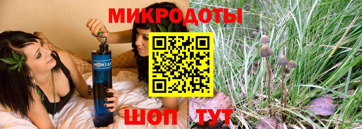 Галлюциногенные грибы ЛСД Кингисепп